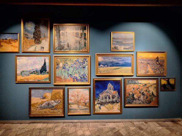 WhatsApp Image 2025-09-14 at 08.56.30(3)